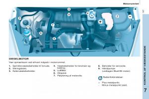 Citroen-Berlingo-Multispace-II-2-Bilens-instruktionsbog page 129 min