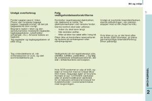 Citroen-Berlingo-Multispace-II-2-Bilens-instruktionsbog page 19 min