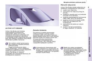 Citroen-Berlingo-Multispace-II-2-instrukcja-obslugi page 101 min