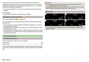 Skoda-Kodiaq-omistajan-kasikirja page 238 min