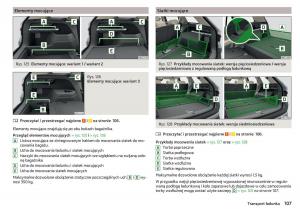 Skoda-Kodiaq-instrukcja-obslugi page 109 min