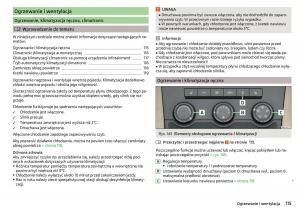 Skoda-Kodiaq-instrukcja-obslugi page 117 min