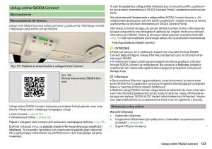 Skoda-Kodiaq-instrukcja-obslugi page 125 min