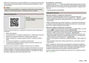 Skoda-Kodiaq-instrukcja-obslugi page 171 min