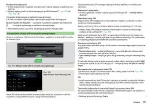 Skoda-Kodiaq-instrukcja-obslugi page 173 min