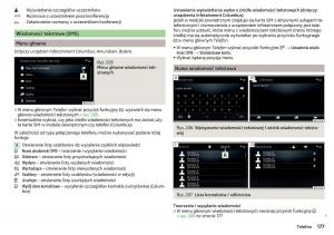 Skoda-Kodiaq-instrukcja-obslugi page 179 min