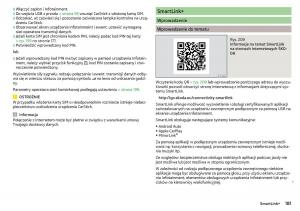 Skoda-Kodiaq-instrukcja-obslugi page 183 min