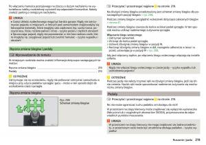 Skoda-Kodiaq-instrukcja-obslugi page 221 min