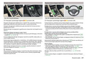 Skoda-Kodiaq-instrukcja-obslugi page 223 min