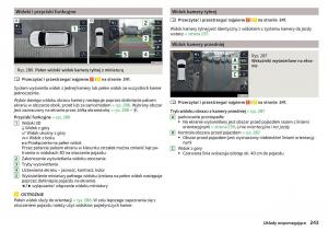 Skoda-Kodiaq-instrukcja-obslugi page 245 min