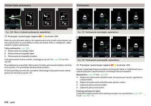 Skoda-Kodiaq-instrukcja-obslugi page 248 min