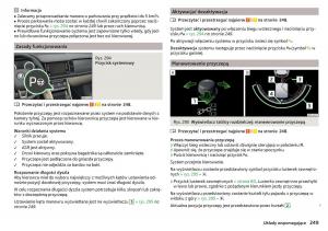 Skoda-Kodiaq-instrukcja-obslugi page 251 min