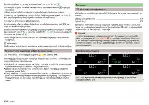 Skoda-Kodiaq-instrukcja-obslugi page 252 min