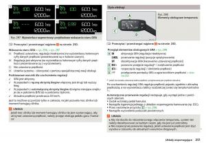 Skoda-Kodiaq-instrukcja-obslugi page 253 min