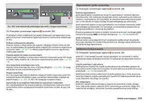 Skoda-Kodiaq-instrukcja-obslugi page 261 min