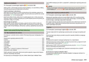 Skoda-Kodiaq-instrukcja-obslugi page 265 min