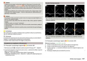 Skoda-Kodiaq-instrukcja-obslugi page 269 min