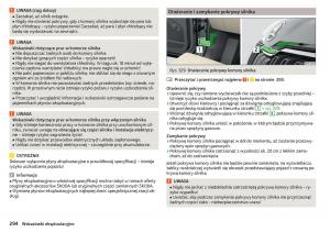 Skoda-Kodiaq-instrukcja-obslugi page 296 min