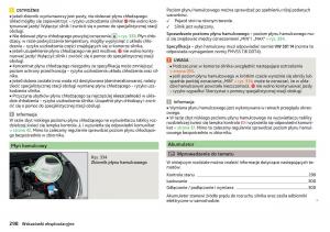 Skoda-Kodiaq-instrukcja-obslugi page 300 min