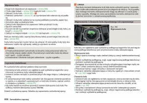 Skoda-Kodiaq-instrukcja-obslugi page 310 min