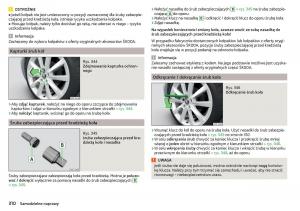 Skoda-Kodiaq-instrukcja-obslugi page 312 min