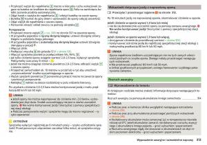 Skoda-Kodiaq-instrukcja-obslugi page 315 min