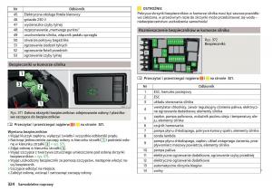 Skoda-Kodiaq-instrukcja-obslugi page 326 min