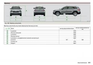 Skoda-Kodiaq-instrukcja-obslugi page 335 min