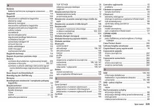 Skoda-Kodiaq-instrukcja-obslugi page 341 min