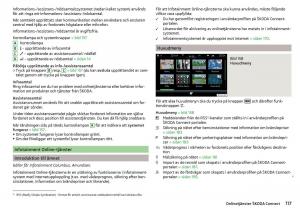 Skoda-Kodiaq-instruktionsbok page 119 min