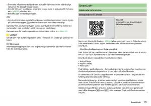 Skoda-Kodiaq-instruktionsbok page 173 min