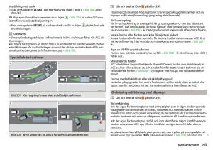 Skoda-Kodiaq-instruktionsbok page 247 min