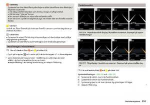 Skoda-Kodiaq-instruktionsbok page 255 min