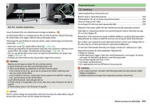 Skoda-Kodiaq-instruktionsbok page 295 min