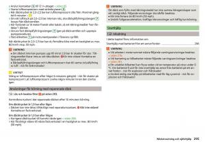 Skoda-Kodiaq-instruktionsbok page 297 min