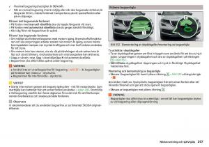 Skoda-Kodiaq-instruktionsbok page 299 min