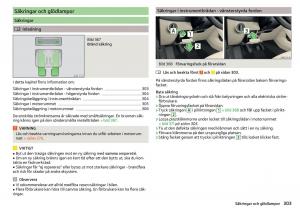 Skoda-Kodiaq-instruktionsbok page 305 min