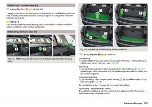 Skoda-Kodiaq-Bilens-instruktionsbog page 105 min