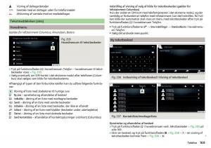 Skoda-Kodiaq-Bilens-instruktionsbog page 171 min