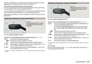 Skoda-Kodiaq-Bilens-instruktionsbog page 245 min