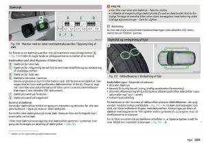 Skoda-Kodiaq-Bilens-instruktionsbog page 291 min