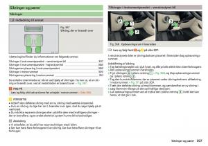 Skoda-Kodiaq-Bilens-instruktionsbog page 309 min