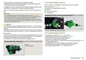 Skoda-Kodiaq-Bilens-instruktionsbog page 313 min