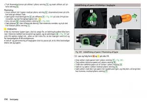 Skoda-Kodiaq-Bilens-instruktionsbog page 316 min