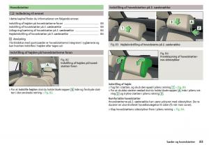 Skoda-Kodiaq-Bilens-instruktionsbog page 85 min