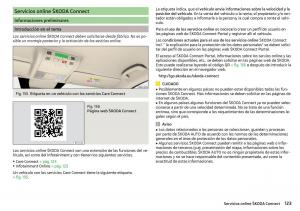 Skoda-Kodiaq-manual-del-propietario page 125 min