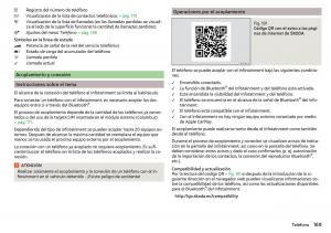 Skoda-Kodiaq-manual-del-propietario page 171 min