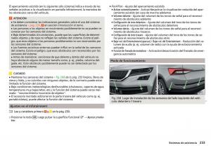 Skoda-Kodiaq-manual-del-propietario page 235 min