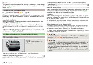 Skoda-Kodiaq-manual-del-propietario page 238 min