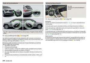 Skoda-Kodiaq-manual-del-propietario page 246 min